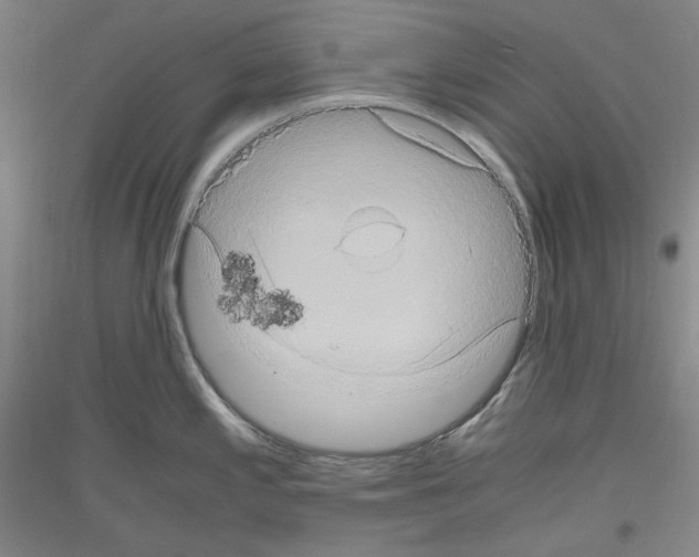 X0000116781197201001281115