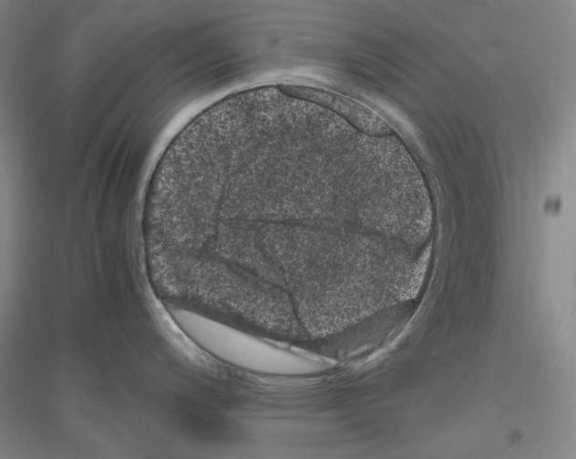 X0000116781200201001281115