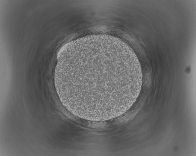 X0000116781201201001281114