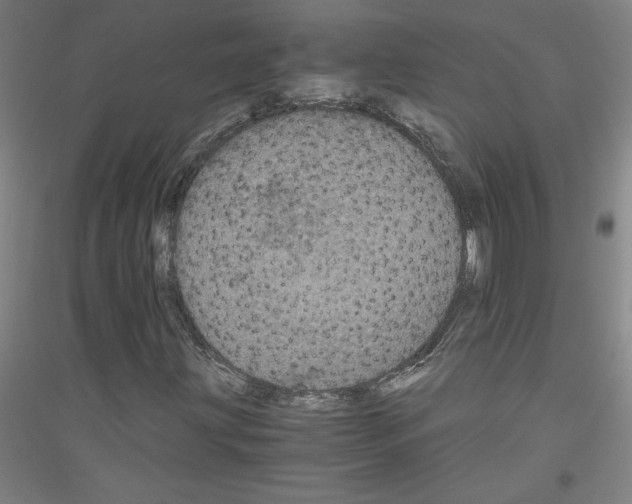 X0000116781203201001281114