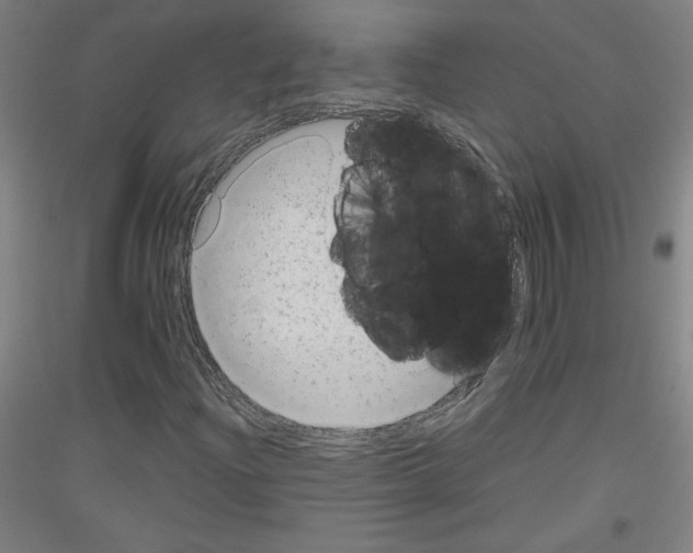 X0000116781204201001281114