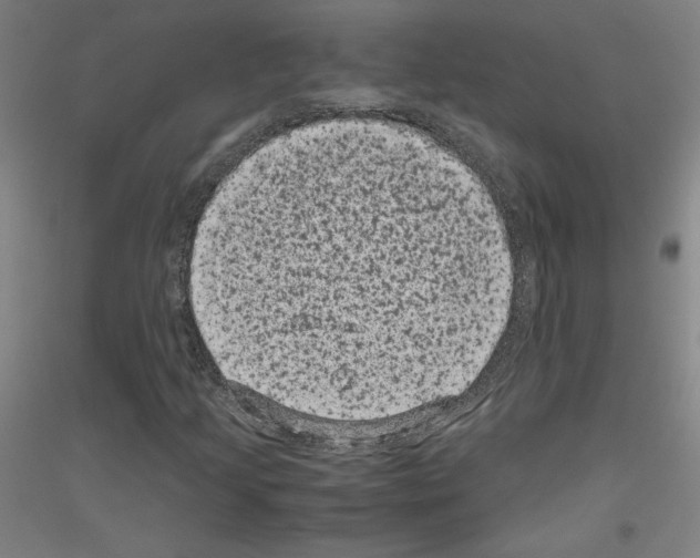 X0000116781205201001281114