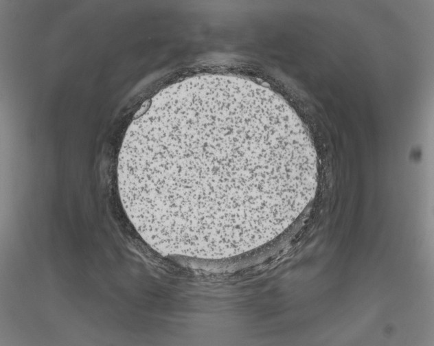 X0000116781206201001281114