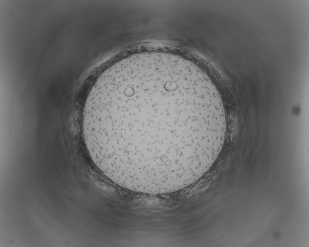 X0000116781207201001281114