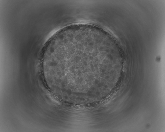 X0000116781208201001281114