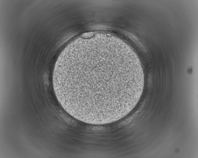 X0000116781209201001281114