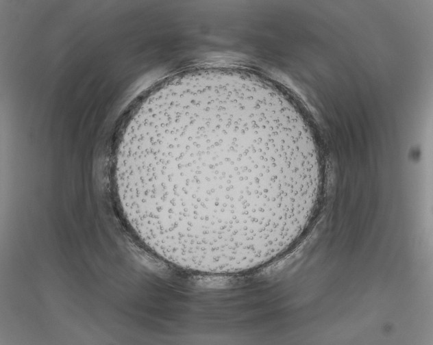 X0000116781211201001281114