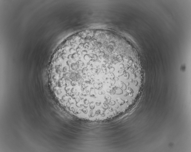 X0000116781212201001281114