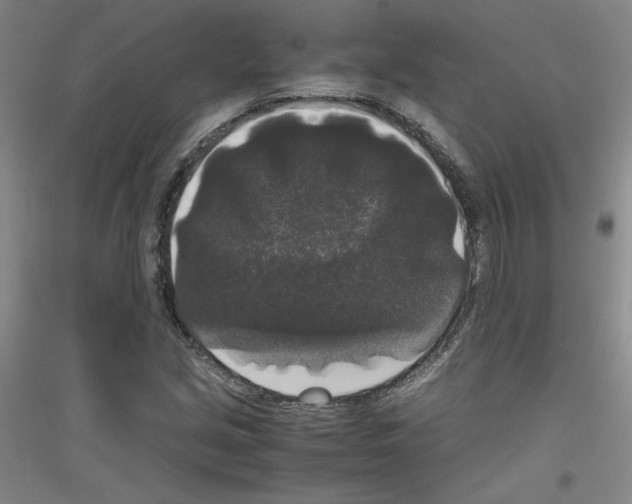 X0000116781213201001281114