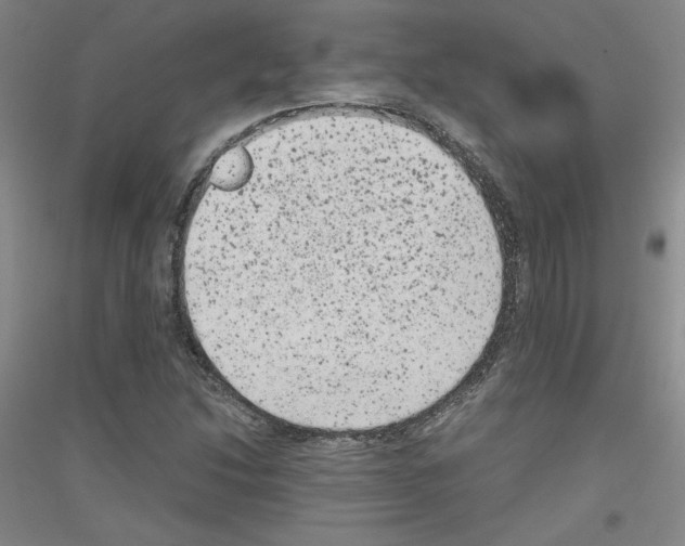 X0000116781214201001281114