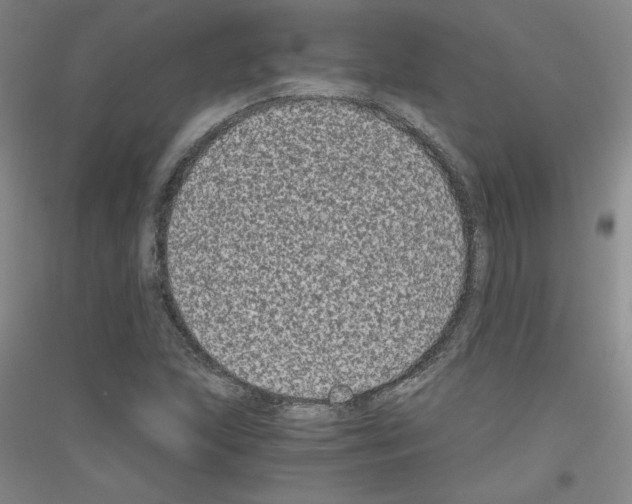 X0000116781215201001281114