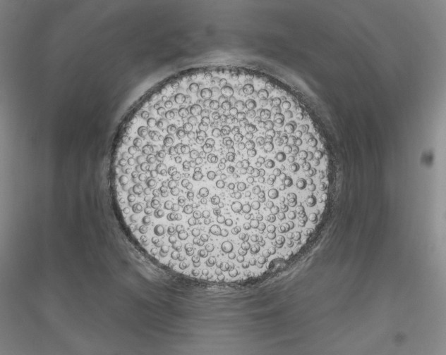 X0000116781216201001281114