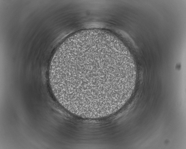 X0000116781217201001281114