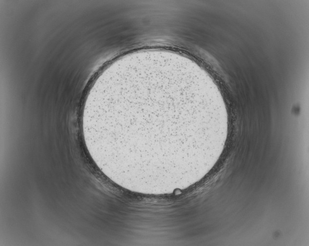 X0000116781218201001281114