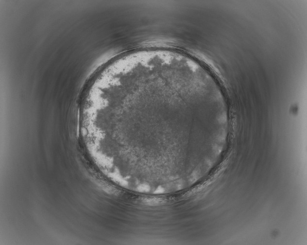 X0000116781219201001281114