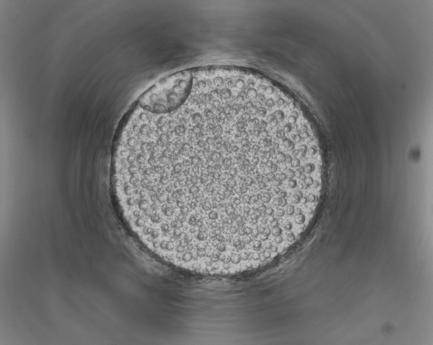 X0000116781220201001281114