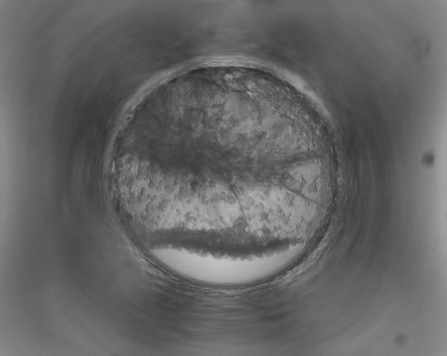 X0000116781221201001281114