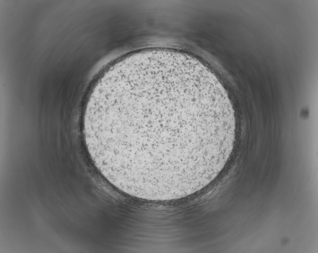 X0000116781222201001281114