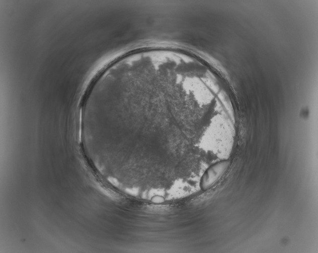 X0000116781223201001281114