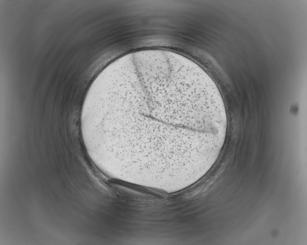 X0000116781225201001281114