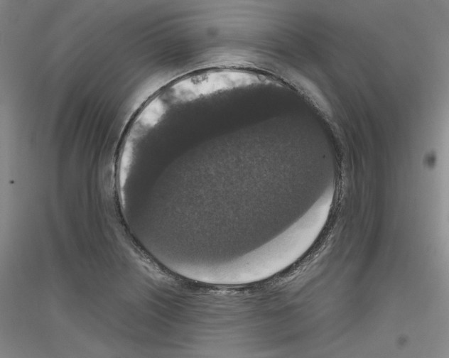 X0000116781226201001281115