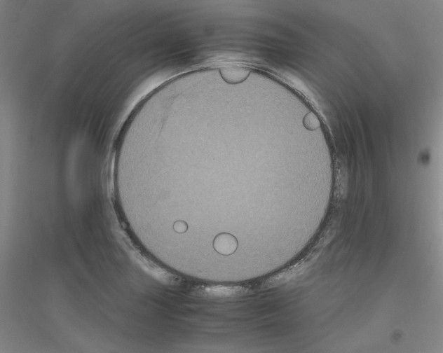 X0000116781227201001281115