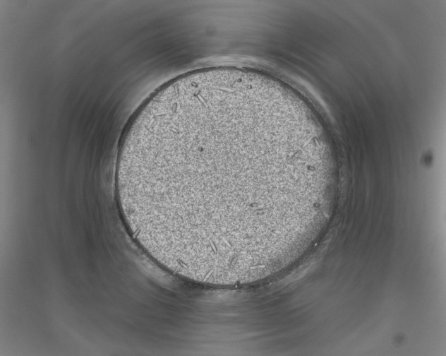 X0000116781228201001281115