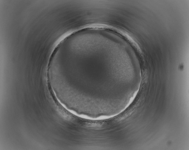 X0000116781229201001281115