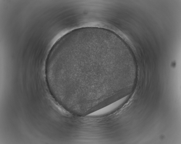 X0000116781230201001281115