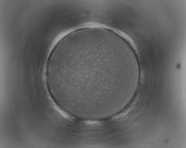 X0000116781231201001281115