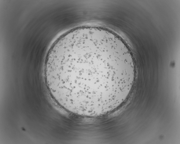 X0000116781232201001281115