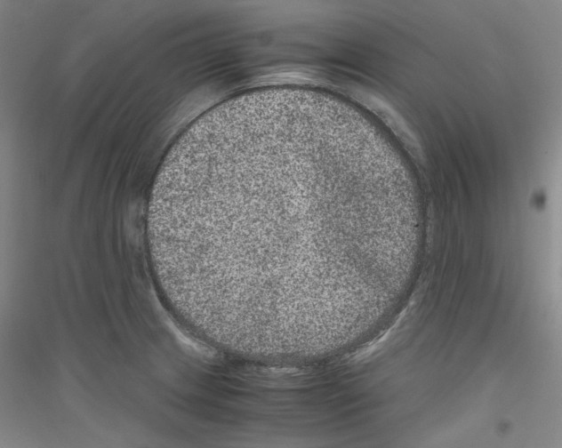 X0000116781233201001281115