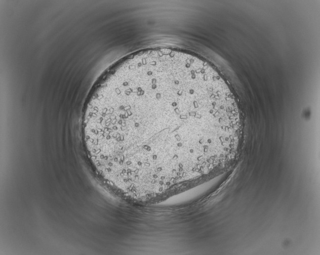 X0000116781234201001281115