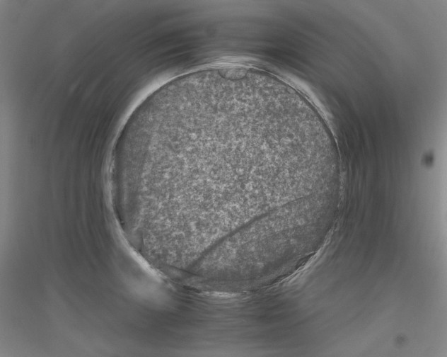 X0000116781235201001281115