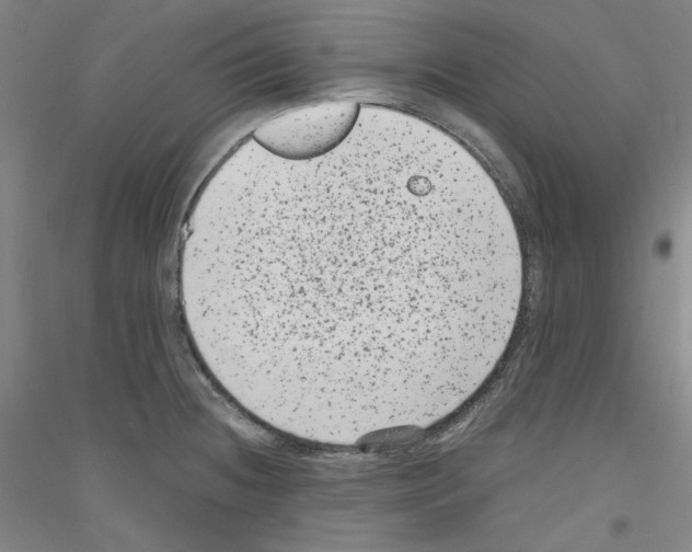 X0000116781236201001281115