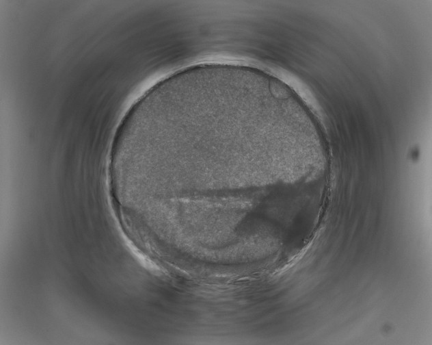 X0000116781237201001281115