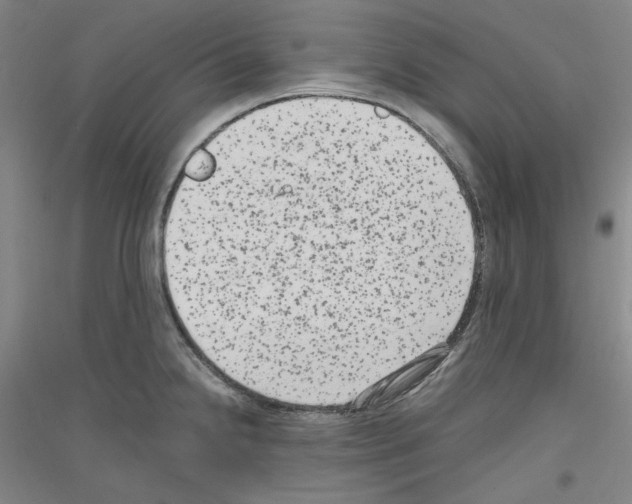 X0000116781238201001281115