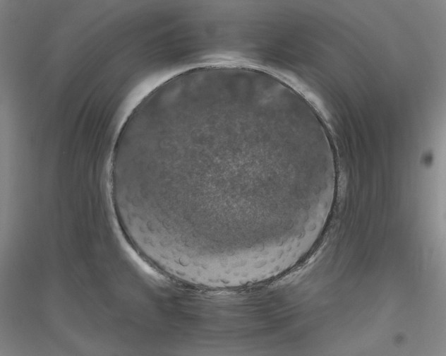 X0000116781239201001281115