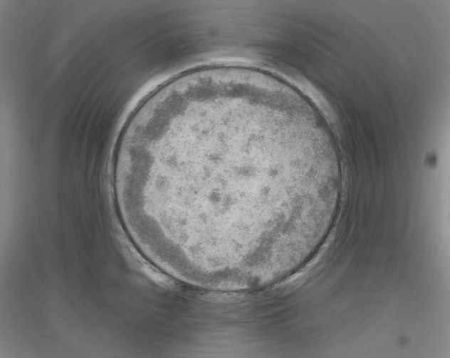 X0000116781240201001281115