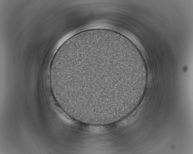 X0000116781242201001281115