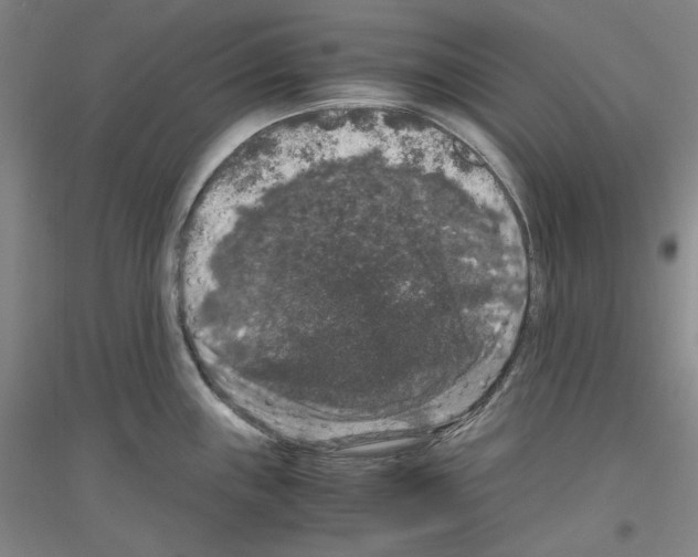 X0000116781243201001281115