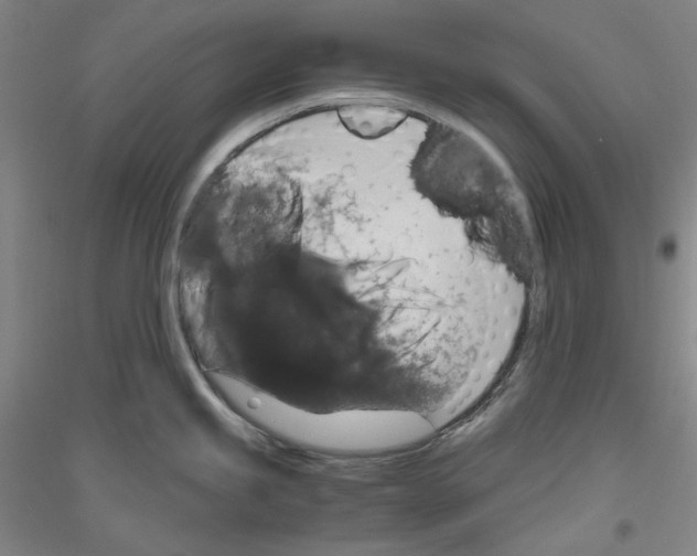 X0000116781245201001281115