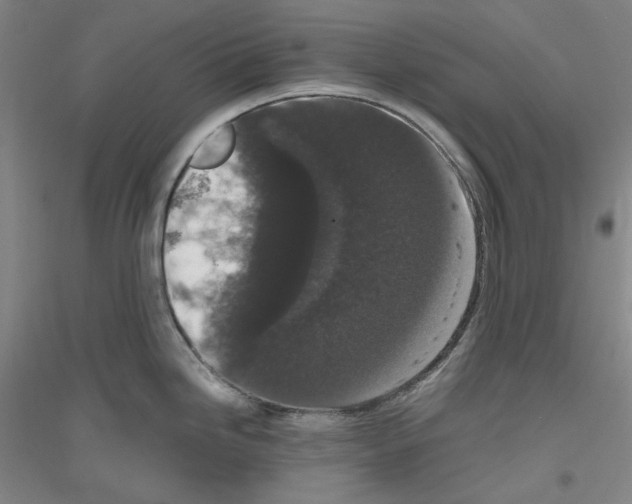 X0000116781246201001281115