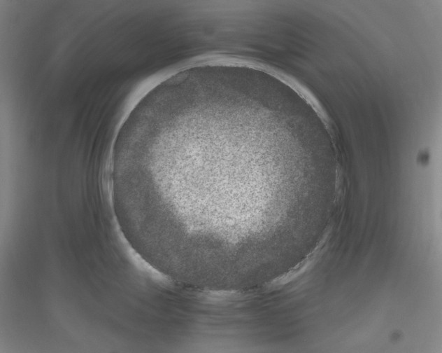 X0000116781247201001281115