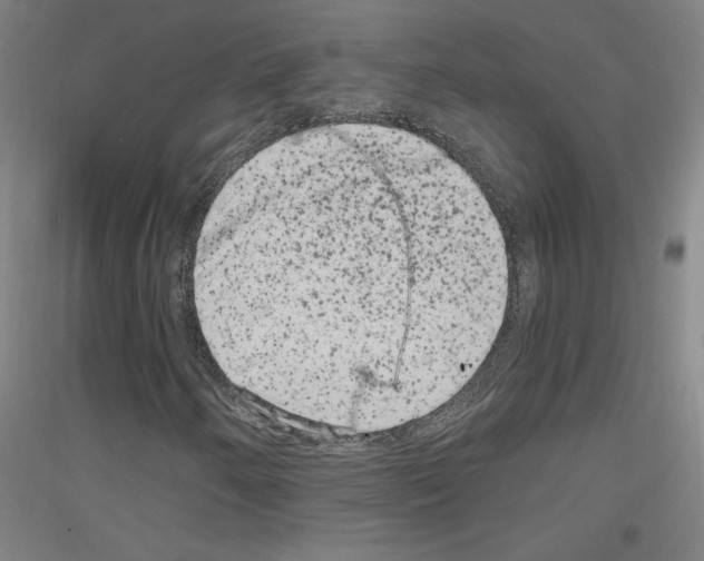 X0000116781250201001281114