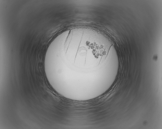 X0000116781252201001281114