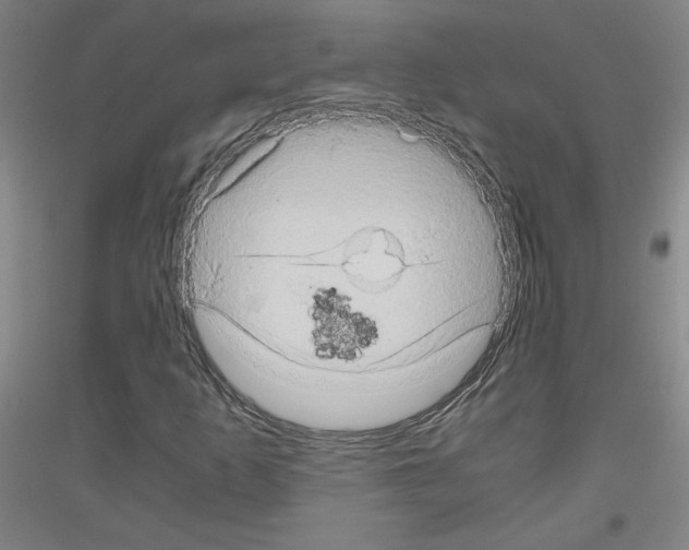 X0000116781253201001281114