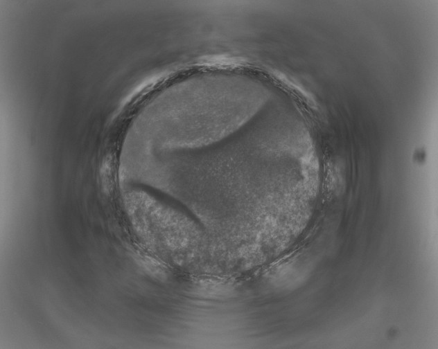 X0000116781254201001281114