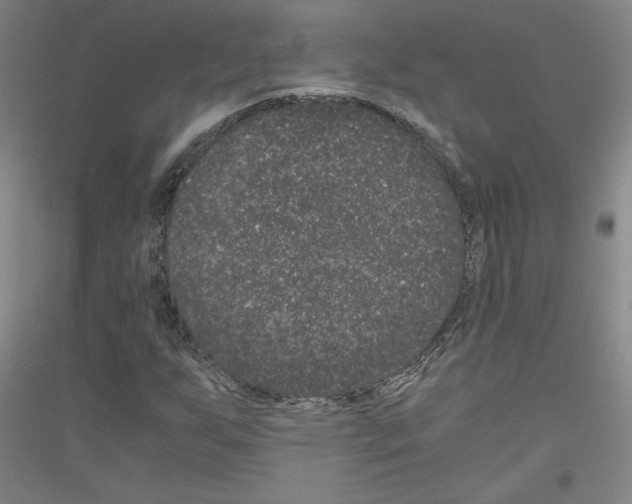 X0000116781255201001281114