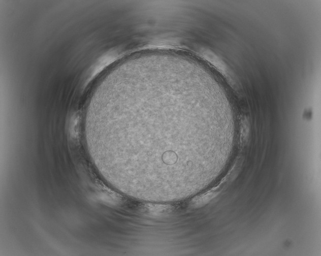 X0000116781258201001281114